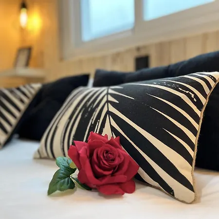 Apartment Comfort By Gloove *